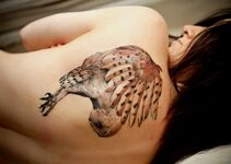 Owl Tattoos Tattoo Designs, Tattoo Pictures